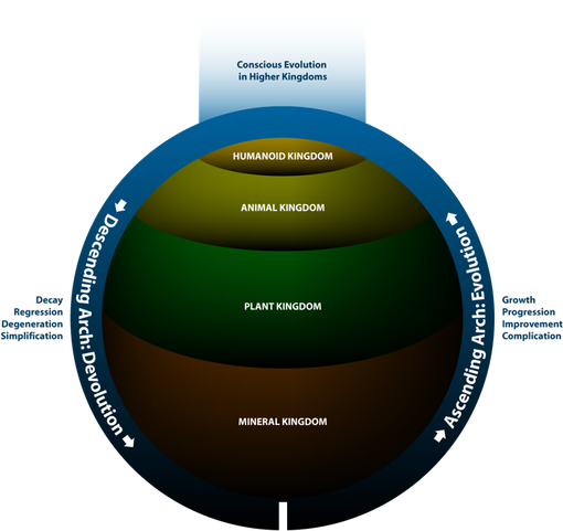 Evolution Devolution animal mineral, plant and humanoid kingdoms