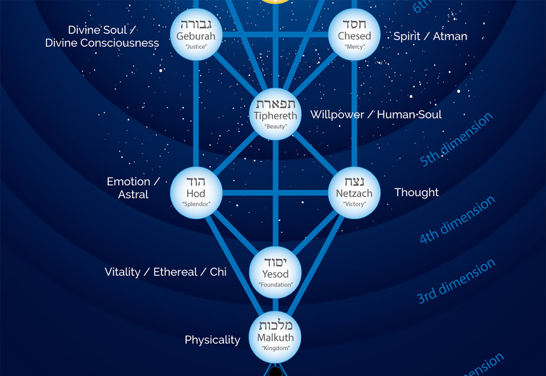 Lower seven bodies tree of life