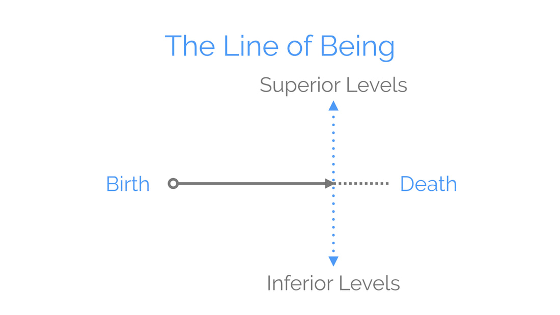 Lines of Life and Being