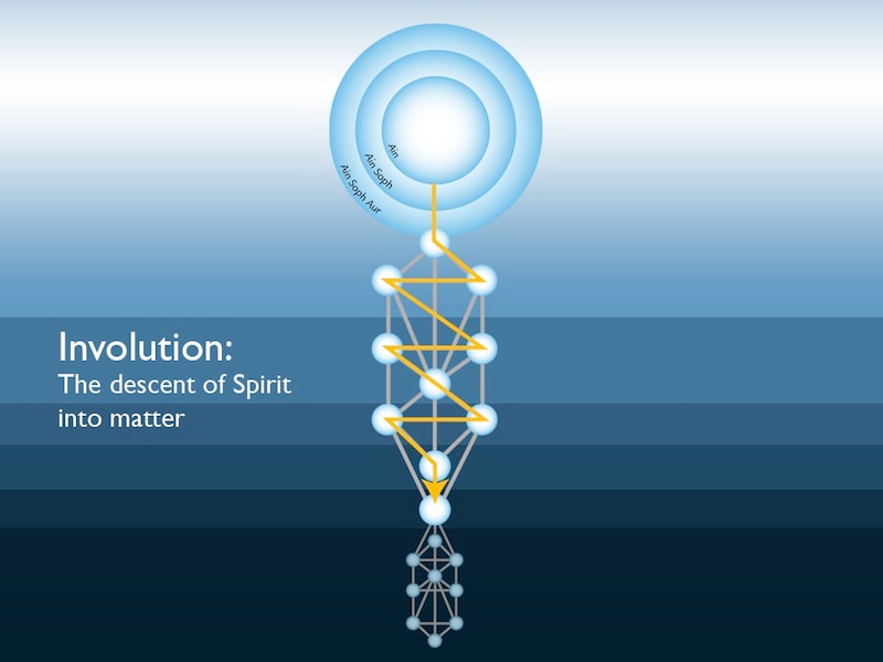 Involution on Tree of Life