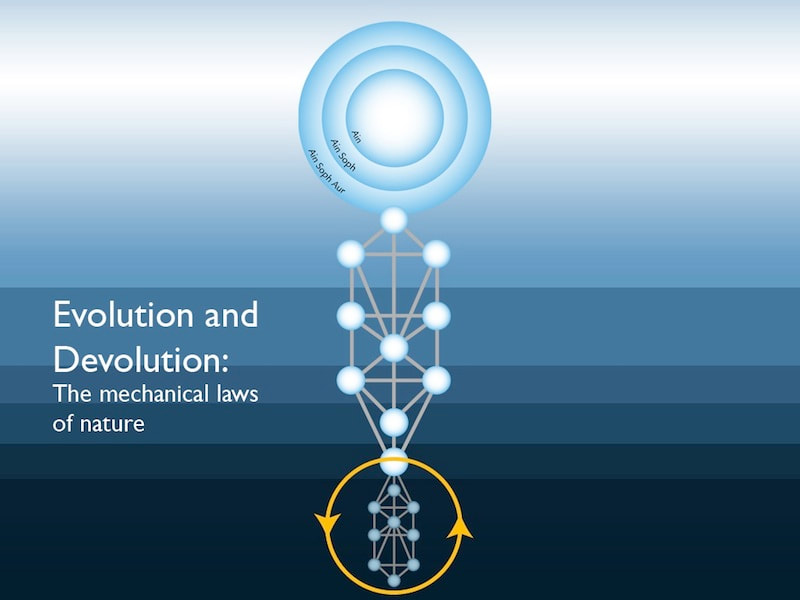 Evolution and Devolution on Tree of Life