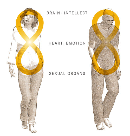 three brains