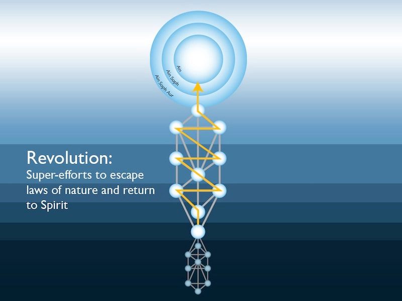Revolution Tree of Life