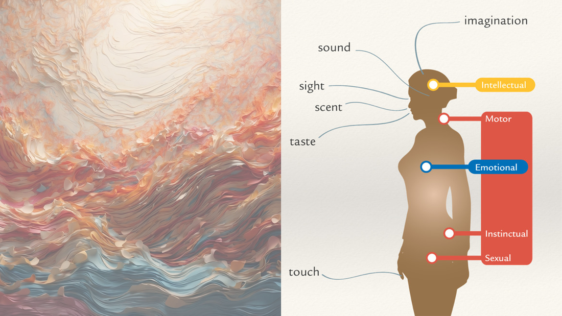 senses centers conditioning