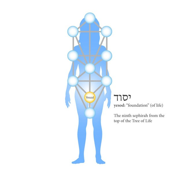 tree of life yesod on human being